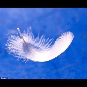 Meet your Posher, Eileen